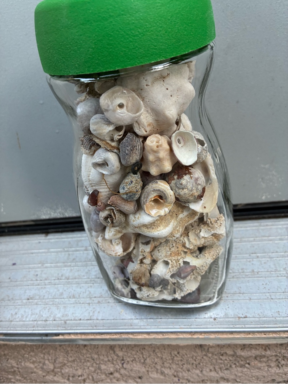 Seashell collection in a glass jar #seashells #coastal #nautical